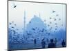 Laleli Mosque, Istanbul, Turkey, Europe, Eurasia-James Green-Mounted Photographic Print