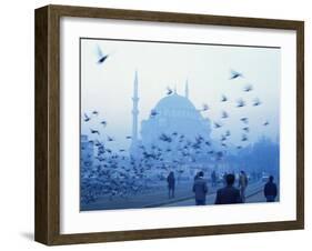 Laleli Mosque, Istanbul, Turkey, Europe, Eurasia-James Green-Framed Photographic Print