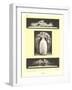 Lalique Motifs-null-Framed Art Print
