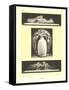 Lalique Motifs-null-Framed Stretched Canvas