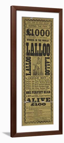 Lalloo-Vintage Apple Collection-Framed Giclee Print