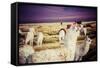 Lama on the Laguna Colorada, Bolivia-Curioso Travel Photography-Framed Stretched Canvas