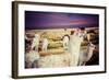 Lama on the Laguna Colorada, Bolivia-Curioso Travel Photography-Framed Photographic Print