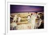 Lama on the Laguna Colorada, Bolivia-Curioso Travel Photography-Framed Photographic Print