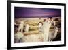 Lama on the Laguna Colorada, Bolivia-Curioso Travel Photography-Framed Photographic Print