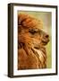 Lama-null-Framed Photographic Print