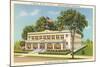 Lamar Bath House, Hot Springs-null-Mounted Art Print