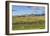 Lamar Valley - Pronghorn and Bison-Galloimages Online-Framed Photographic Print