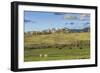 Lamar Valley - Pronghorn and Bison-Galloimages Online-Framed Photographic Print