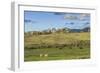 Lamar Valley - Pronghorn and Bison-Galloimages Online-Framed Photographic Print