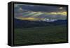 Lamar Valley Sunrise-Galloimages Online-Framed Stretched Canvas