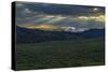 Lamar Valley Sunrise-Galloimages Online-Stretched Canvas