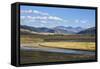 Lamar Valley, Yellowstone National Park, Wyoming, United States of America, North America-Gary Cook-Framed Stretched Canvas