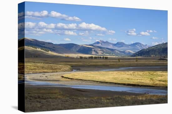 Lamar Valley, Yellowstone National Park, Wyoming, United States of America, North America-Gary Cook-Stretched Canvas