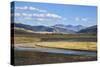 Lamar Valley, Yellowstone National Park, Wyoming, United States of America, North America-Gary Cook-Stretched Canvas