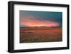 Lamar Valley Yellowstone-Belinda Shi-Framed Photographic Print