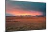 Lamar Valley Yellowstone-Belinda Shi-Mounted Photographic Print