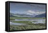 Lamar Valley (YNP)-Galloimages Online-Framed Stretched Canvas