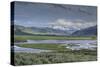 Lamar Valley (YNP)-Galloimages Online-Stretched Canvas
