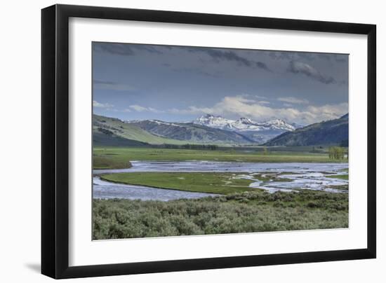 Lamar Valley (YNP)-Galloimages Online-Framed Premium Photographic Print