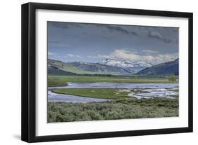 Lamar Valley (YNP)-Galloimages Online-Framed Premium Photographic Print