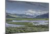 Lamar Valley (YNP)-Galloimages Online-Mounted Premium Photographic Print