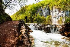 Path near A Forest Lake in Plitvice Lakes National Park, Croatia-Lamarinx-Photographic Print