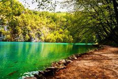 Path near A Forest Lake in Plitvice Lakes National Park, Croatia-Lamarinx-Photographic Print