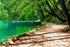 Path near A Forest Lake in Plitvice Lakes National Park, Croatia-Lamarinx-Photographic Print