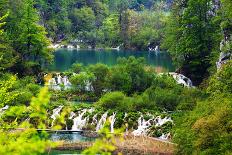 Path near A Forest Lake in Plitvice Lakes National Park, Croatia-Lamarinx-Photographic Print