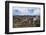 Lamas Family in El Cajas National Park, Ecuador-brizardh-Framed Photographic Print