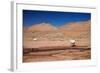 Lamas in Atacama Desert, Chile-Nataliya Hora-Framed Photographic Print