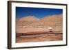 Lamas in Atacama Desert, Chile-Nataliya Hora-Framed Photographic Print