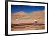 Lamas in Atacama Desert, Chile-Nataliya Hora-Framed Photographic Print