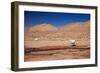 Lamas in Atacama Desert, Chile-Nataliya Hora-Framed Photographic Print