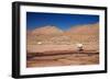 Lamas in Atacama Desert, Chile-Nataliya Hora-Framed Photographic Print