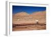 Lamas in Atacama Desert, Chile-Nataliya Hora-Framed Photographic Print