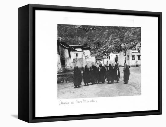 Lamas in Sera Monastery, Lhasa, Tibet, 1903-04-John Claude White-Framed Stretched Canvas