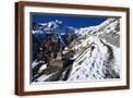 Brown Frame