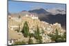 Lamayuru Village, Indus Valley, Near Leh, Ladakh, India-Peter Adams-Mounted Photographic Print