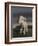 Lamb, 2009,-Peter Jones-Framed Giclee Print