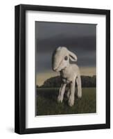 Lamb, 2009,-Peter Jones-Framed Giclee Print