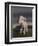 Lamb, 2009,-Peter Jones-Framed Giclee Print