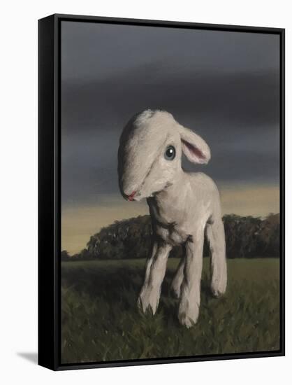 Lamb, 2009,-Peter Jones-Framed Stretched Canvas