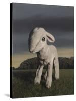 Lamb, 2009,-Peter Jones-Stretched Canvas