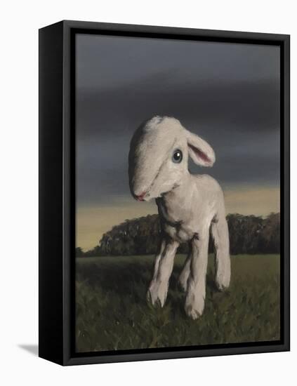 Lamb, 2009,-Peter Jones-Framed Stretched Canvas