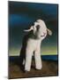 Lamb, 2009,-Peter Jones-Mounted Giclee Print