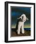 Lamb, 2009,-Peter Jones-Framed Giclee Print