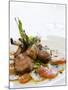 Lamb Chops on Tomatoes and Potatoes with Basil-Alexandre Oliveira-Mounted Photographic Print