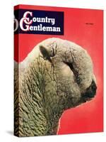 "Lamb," Country Gentleman Cover, May 1, 1948-Stanley Johnson-Stretched Canvas